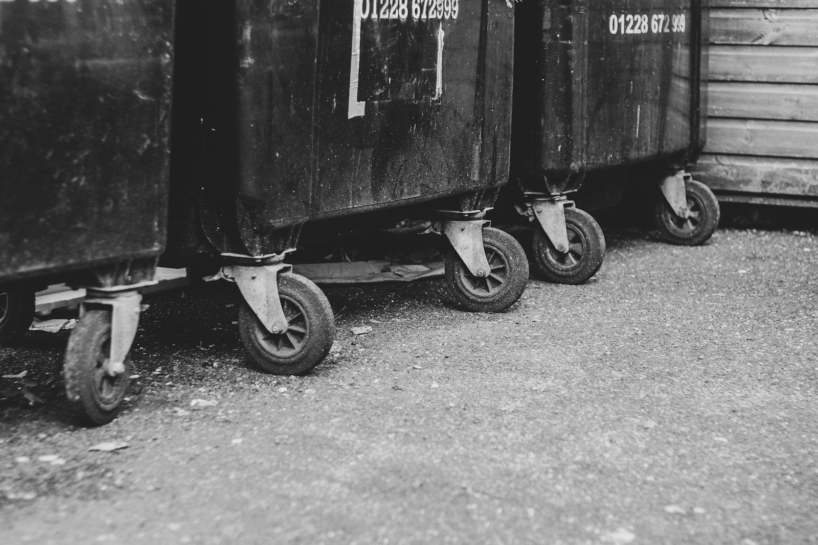 Row of large dark wheeled bins on gravel